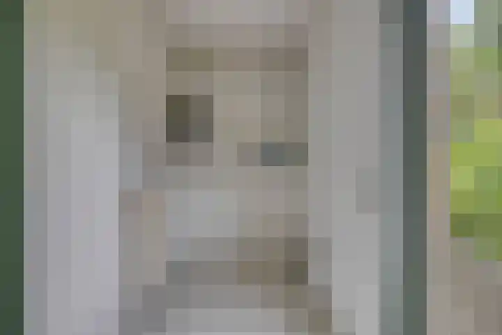 Jan de Vrieslaan 3 Nuenen thumbnail 14