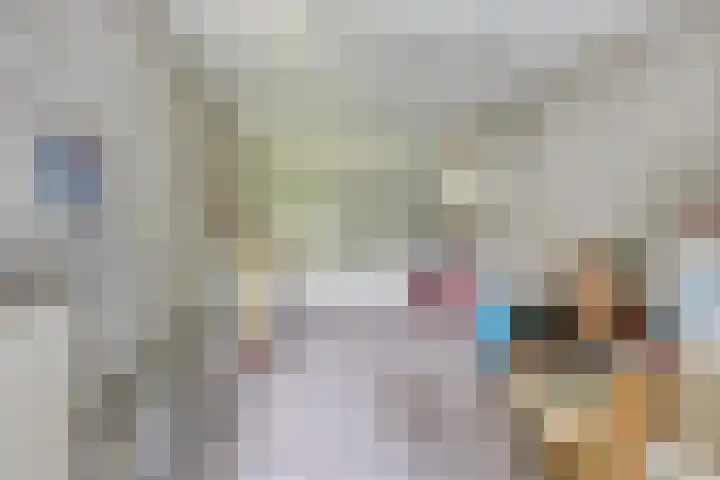 Jan de Vrieslaan 3 Nuenen thumbnail 15