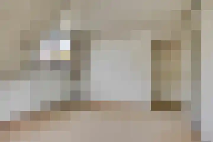 Jan de Vrieslaan 3 Nuenen thumbnail 18