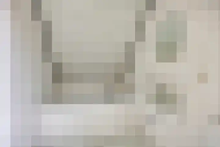 Jan de Vrieslaan 3 Nuenen thumbnail 19
