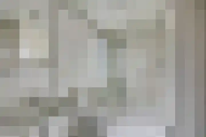 Jan de Vrieslaan 3 Nuenen thumbnail 20