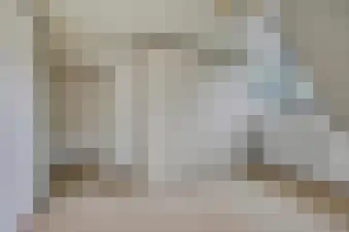 Jan de Vrieslaan 3 Nuenen thumbnail 22