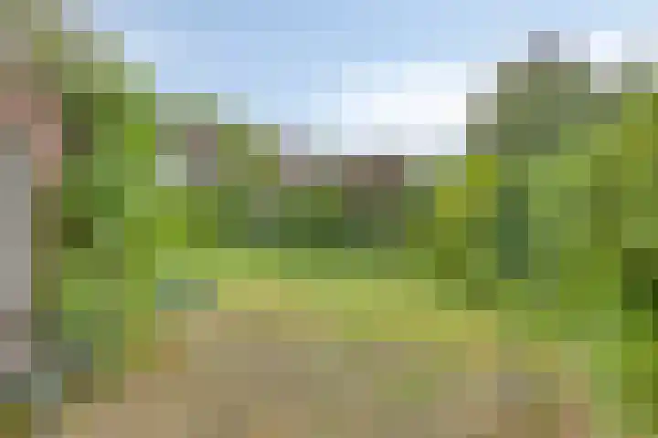 Jan de Vrieslaan 3 Nuenen thumbnail 25