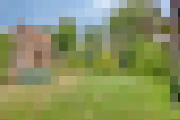 Jan de Vrieslaan 3 Nuenen thumbnail 27