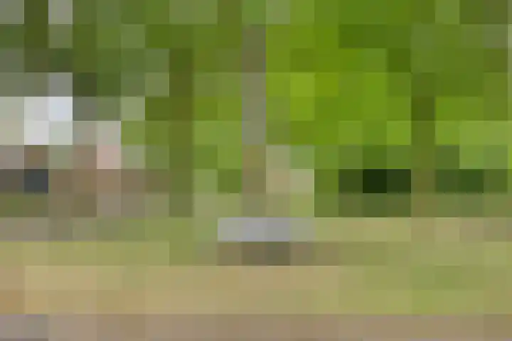 Jan de Vrieslaan 3 Nuenen thumbnail 28
