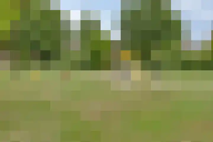 Jan de Vrieslaan 3 Nuenen thumbnail 29