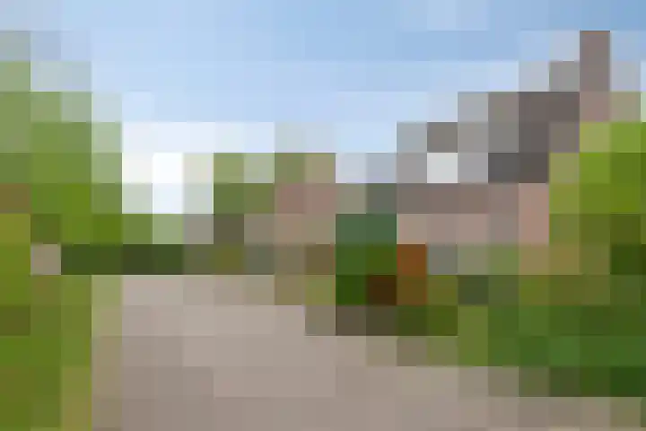 Jan de Vrieslaan 3 Nuenen foto 3