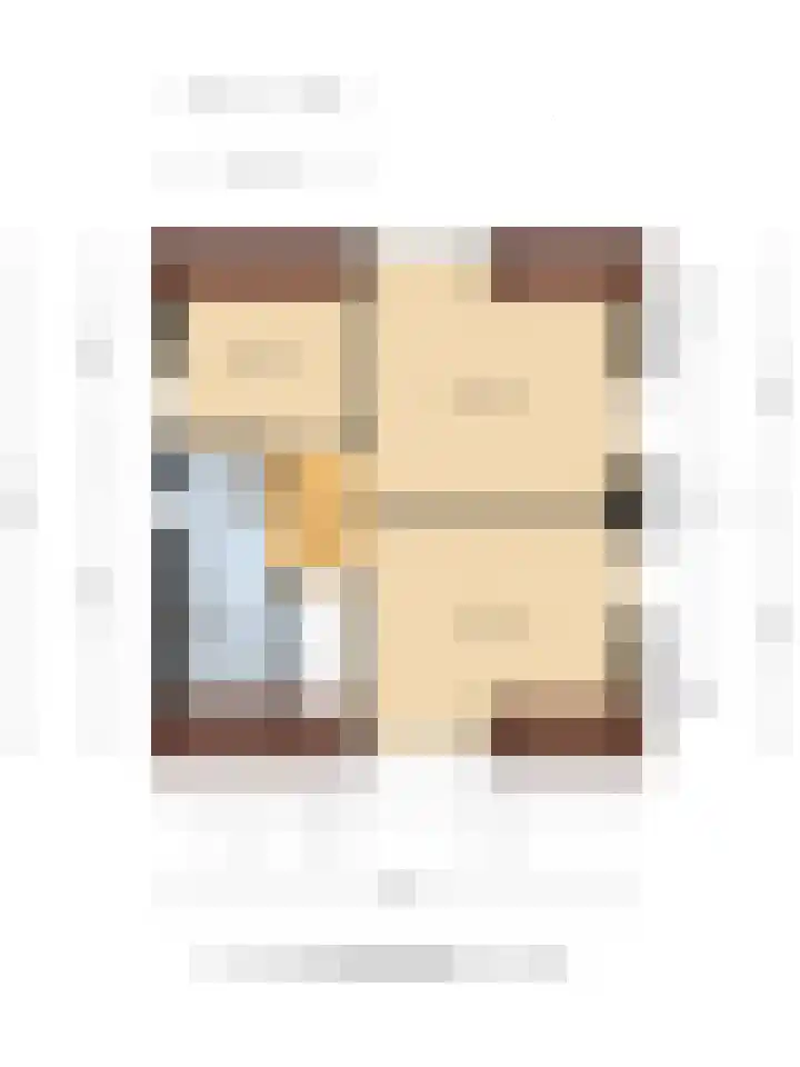 Jan de Vrieslaan 3 Nuenen thumbnail 32