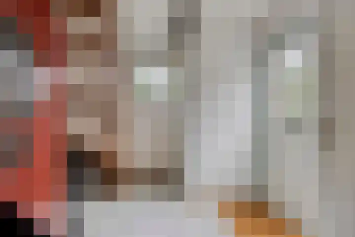 Jan de Vrieslaan 3 Nuenen thumbnail 4