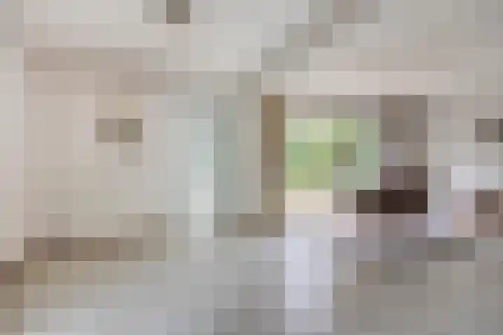 Jan de Vrieslaan 3 Nuenen thumbnail 6