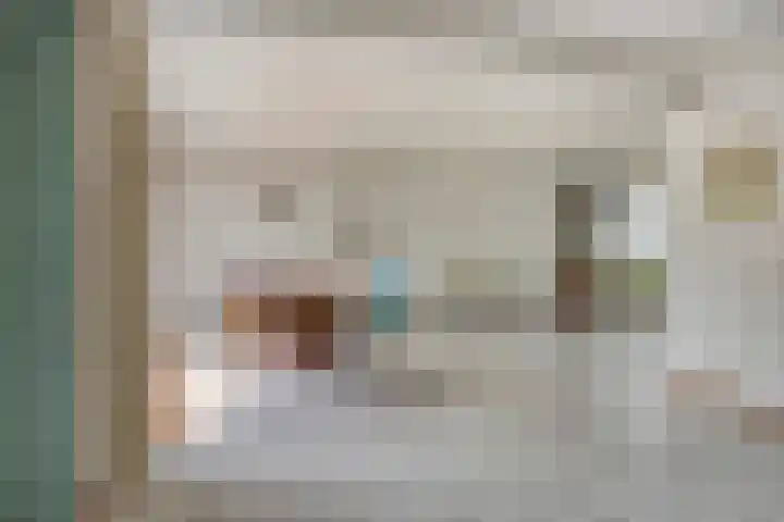 Jan de Vrieslaan 3 Nuenen thumbnail 8