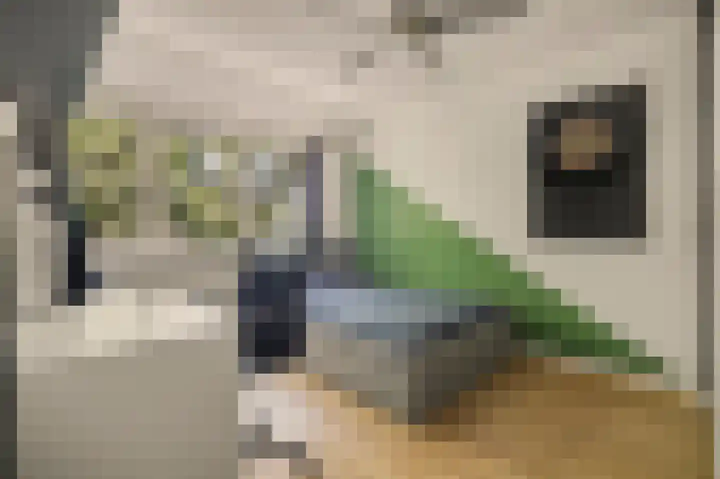 Jan de Vriesstraat 22 Diessen thumbnail 12