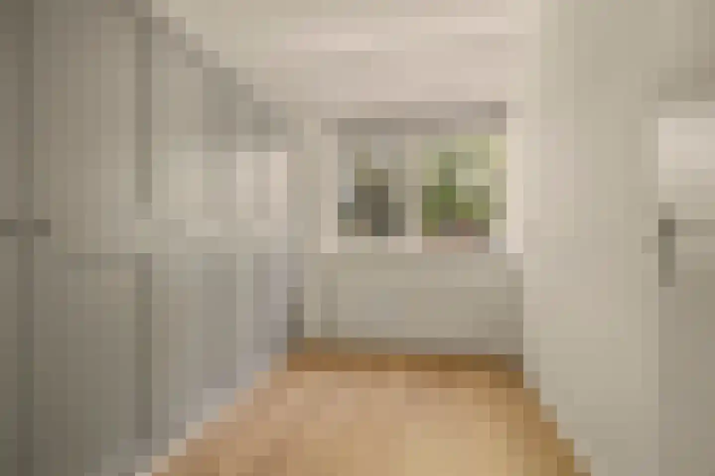 Jan de Vriesstraat 22 Diessen thumbnail 14
