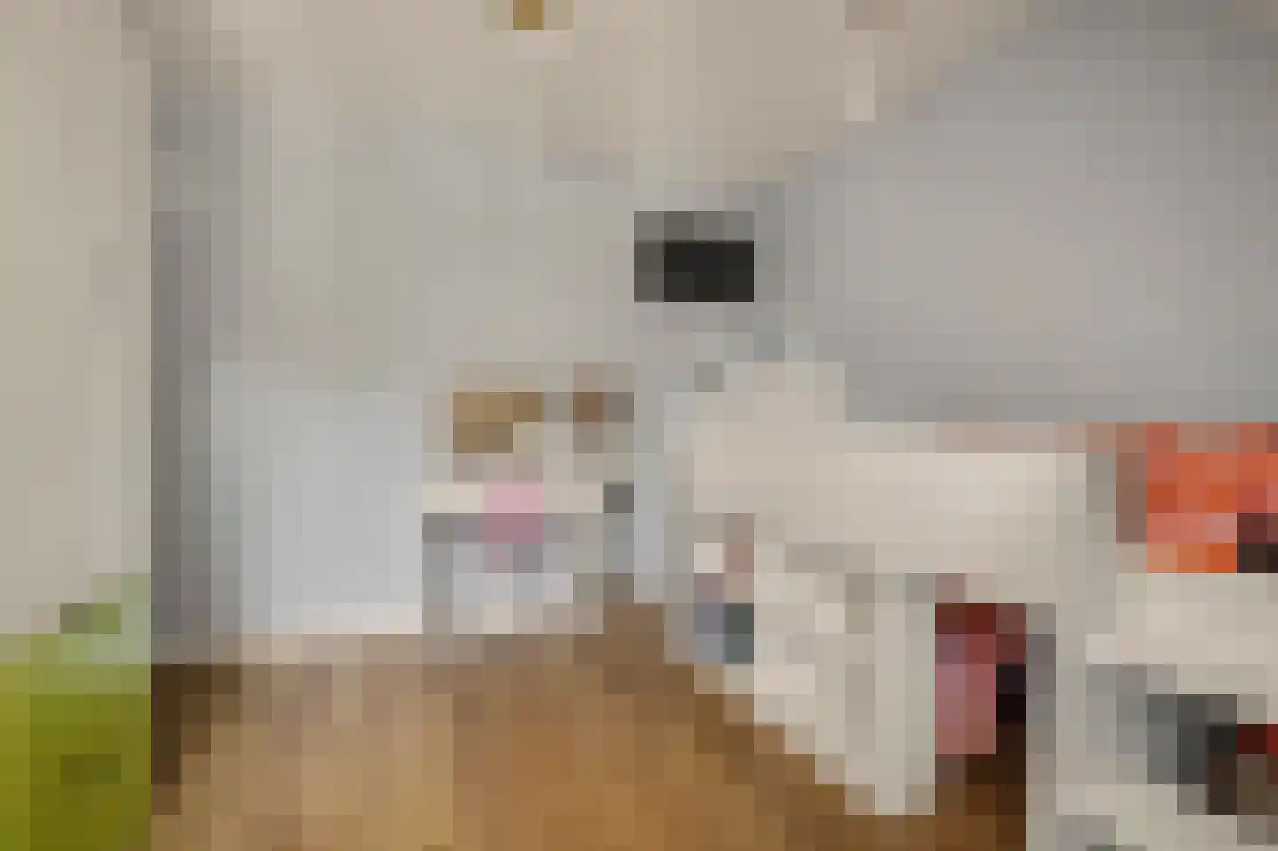 Jan de Vriesstraat 22 Diessen thumbnail 18