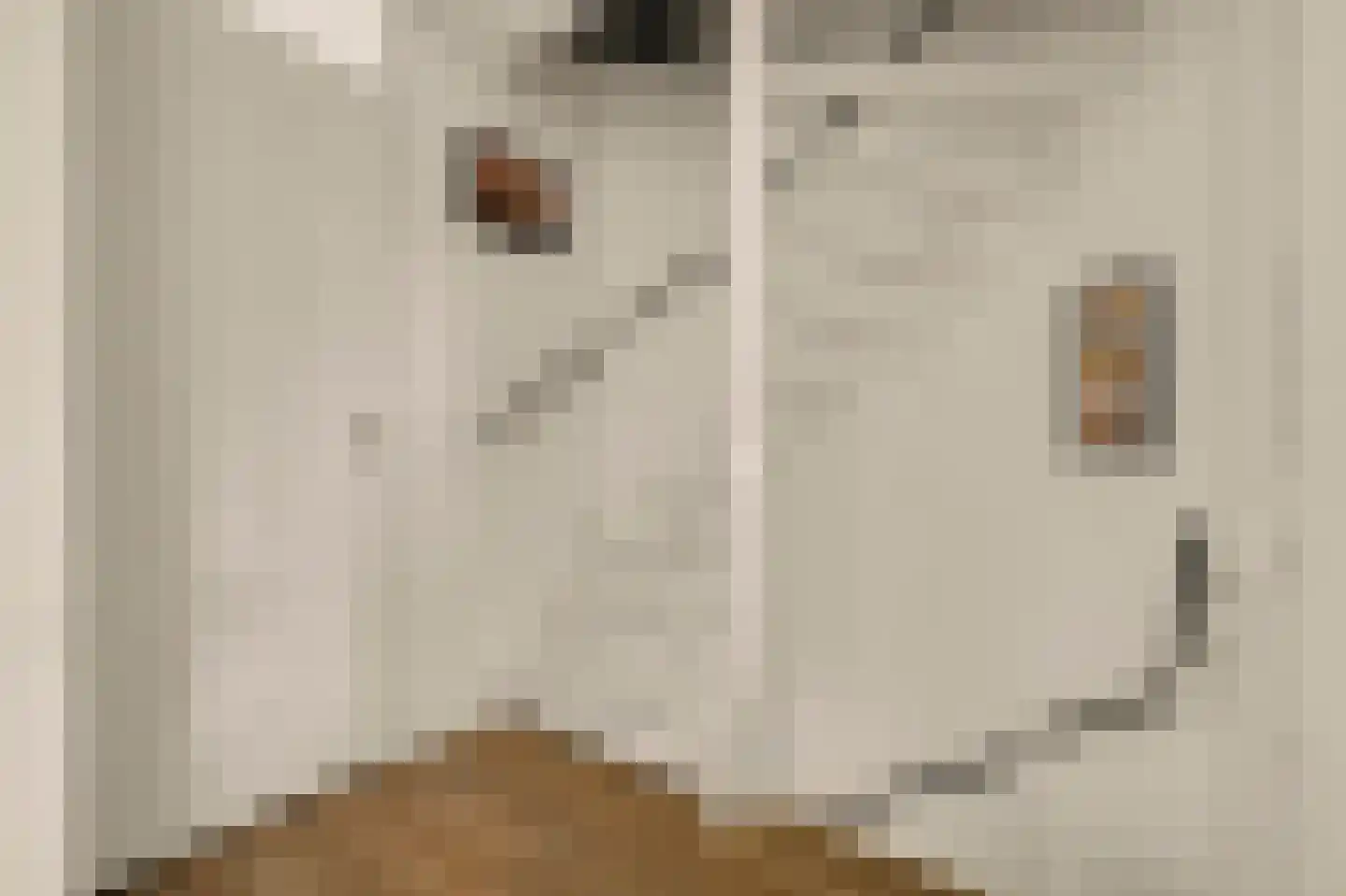 Jan de Vriesstraat 22 Diessen thumbnail 19