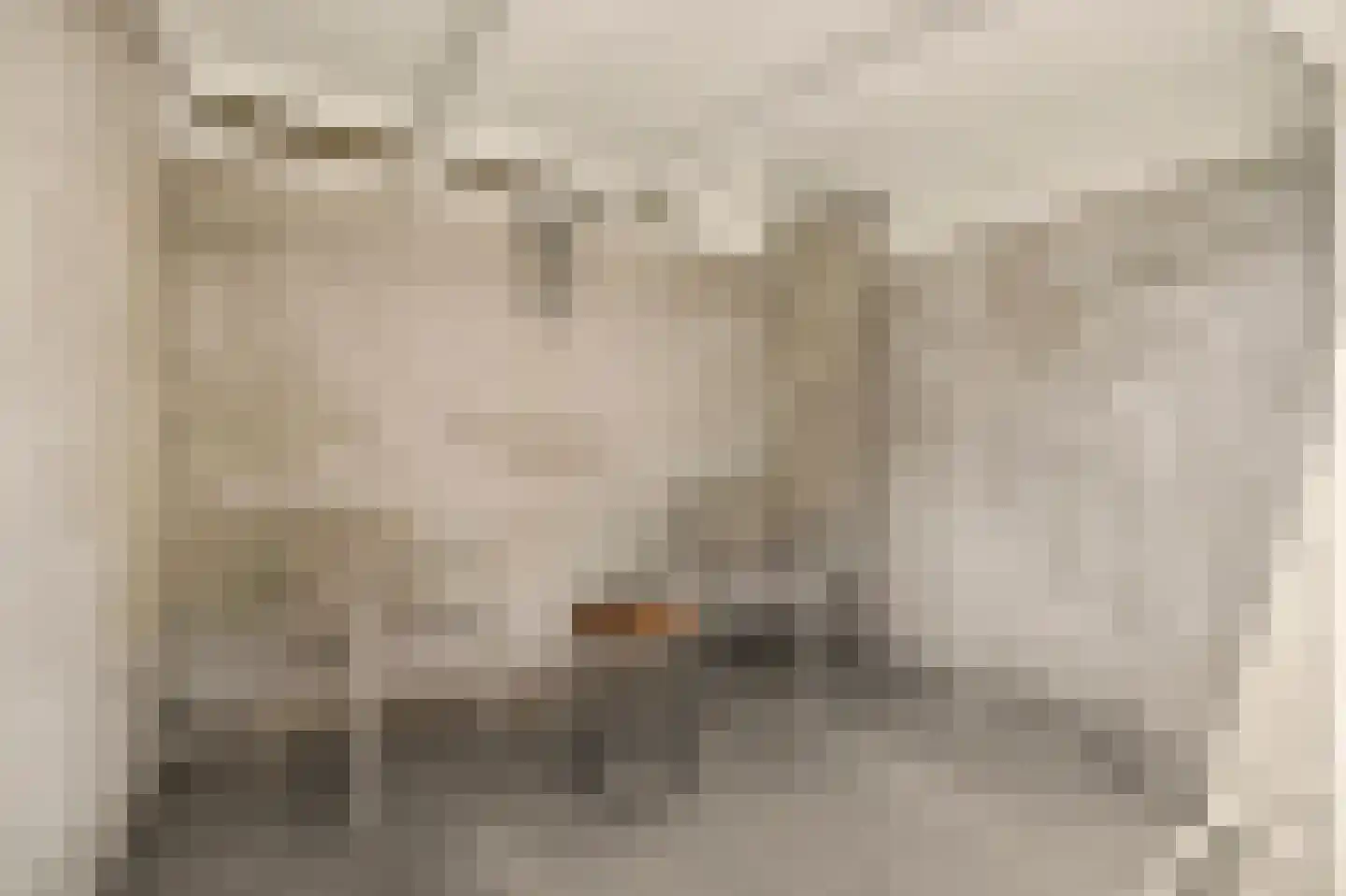Jan de Vriesstraat 22 Diessen thumbnail 24