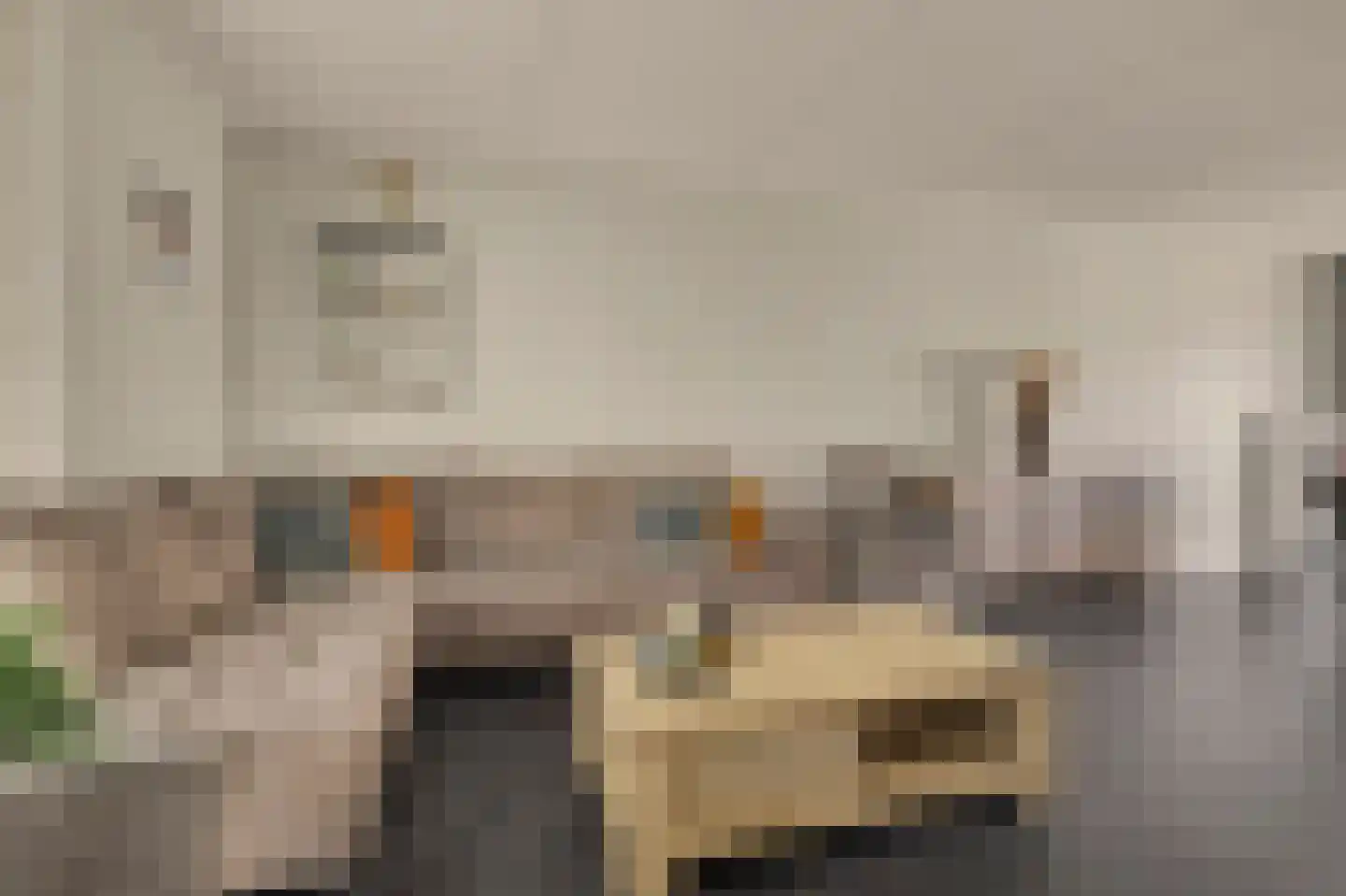 Jan de Vriesstraat 22 Diessen thumbnail 4