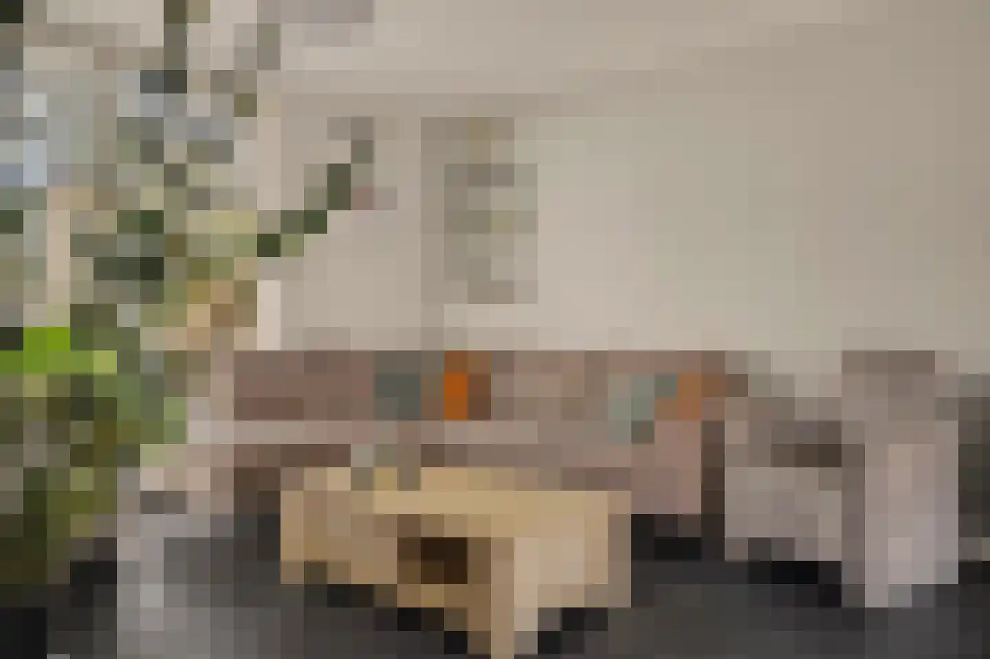 Jan de Vriesstraat 22 Diessen thumbnail 5