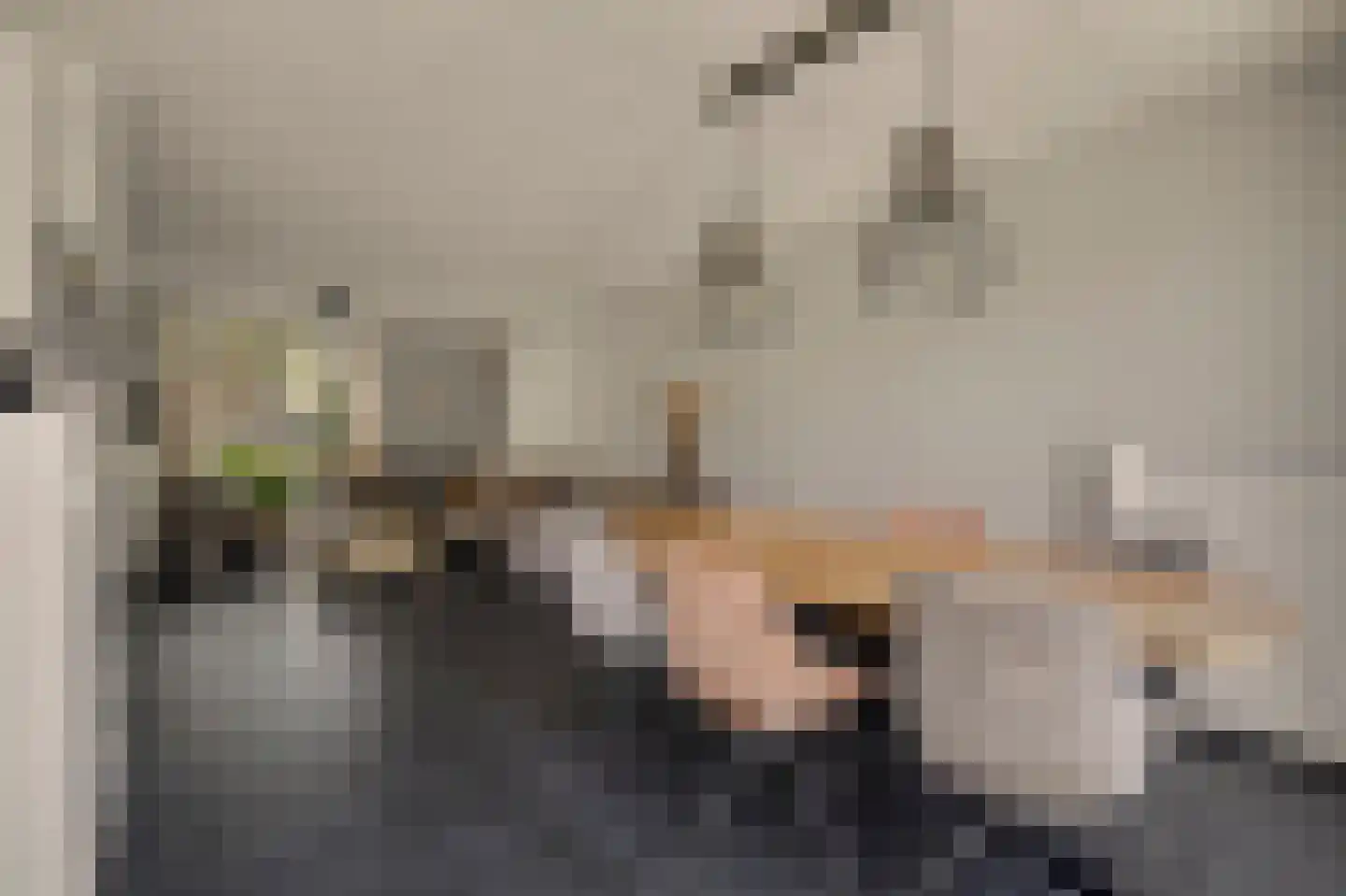 Jan de Vriesstraat 22 Diessen thumbnail 8