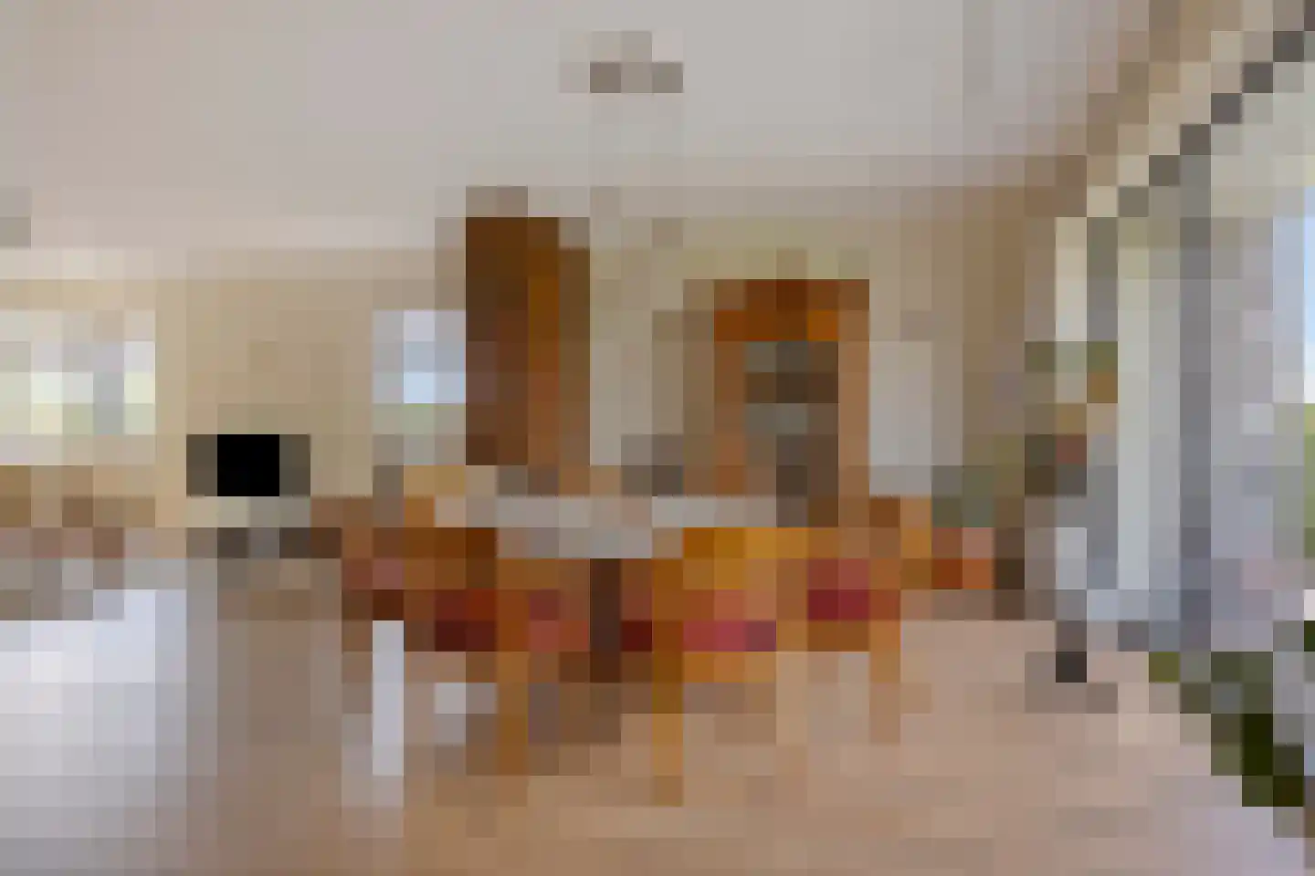 Jan de Vriesstraat 6 C Diessen thumbnail 23