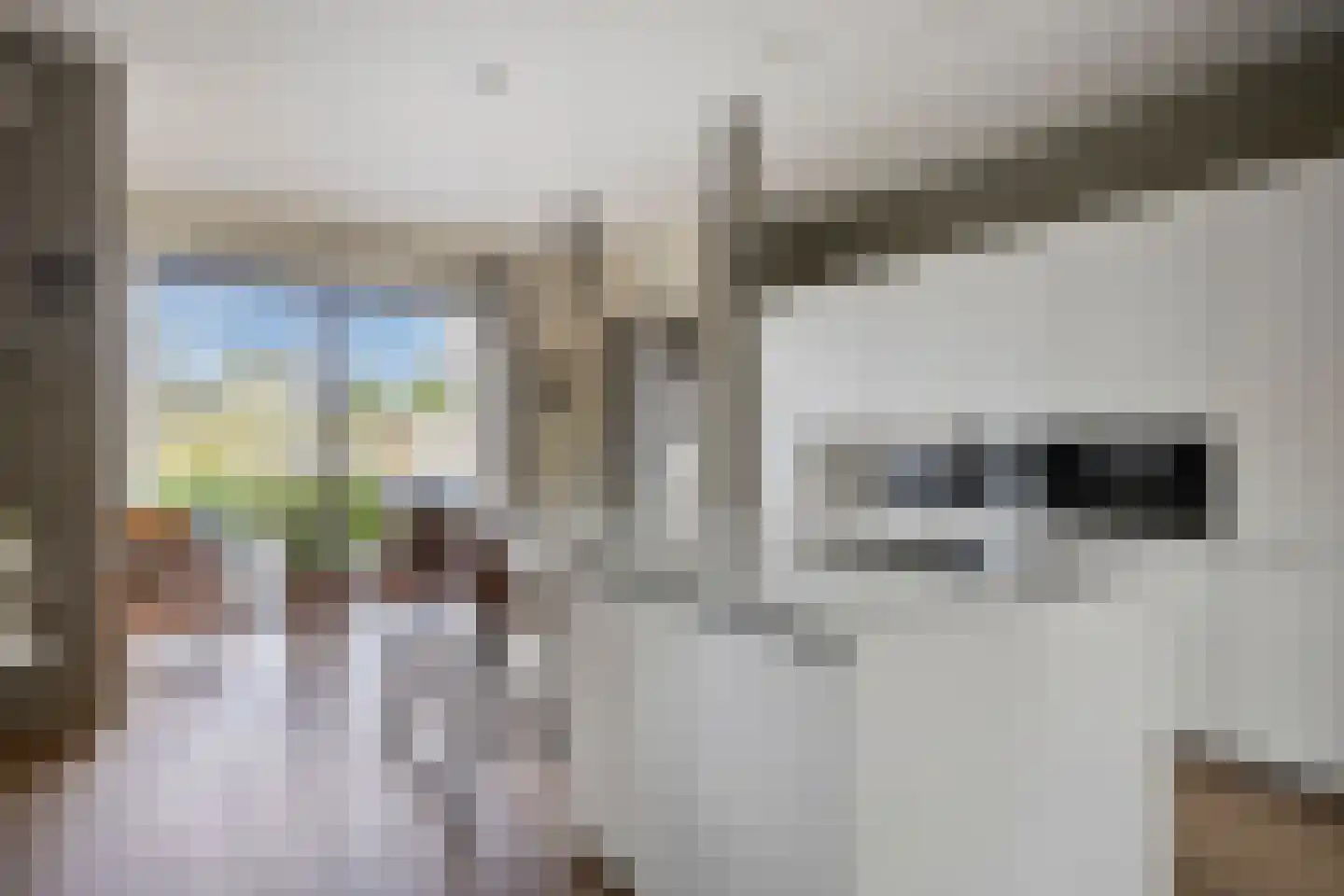 Jan de Vriesstraat 6 C Diessen thumbnail 26