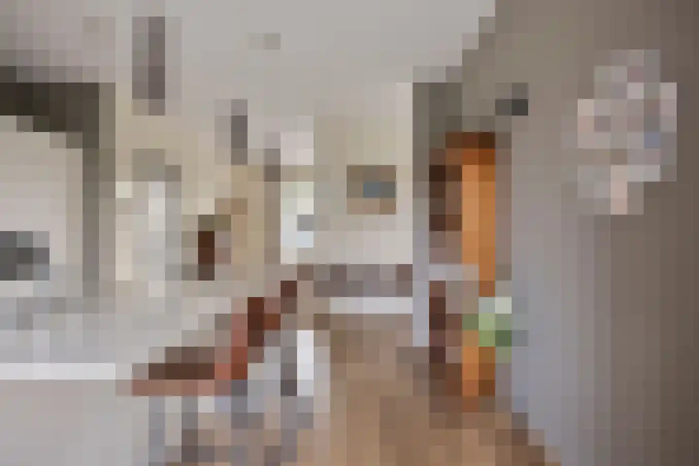 Jan de Vriesstraat 6 C Diessen thumbnail 29