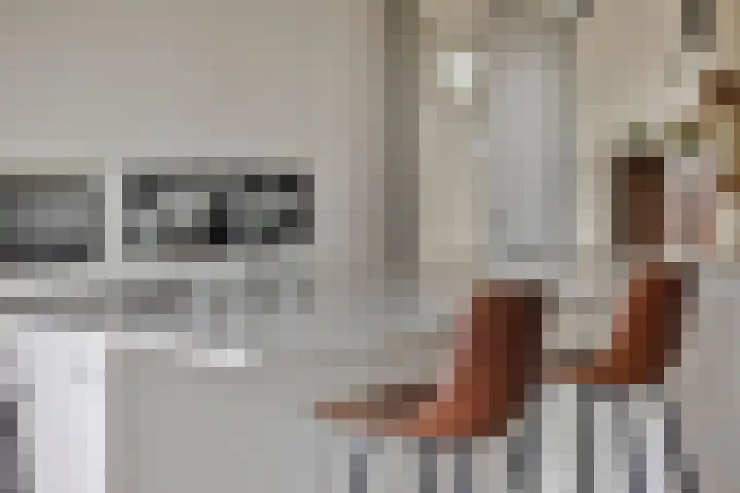 Jan de Vriesstraat 6 C Diessen thumbnail 30