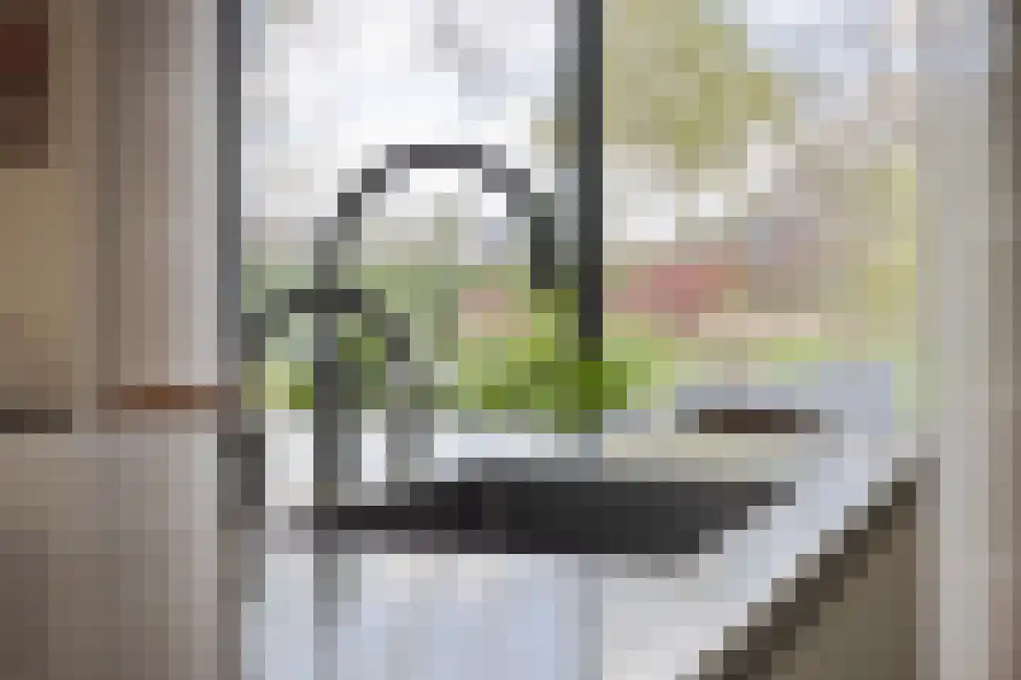 Jan de Vriesstraat 6 C Diessen thumbnail 32