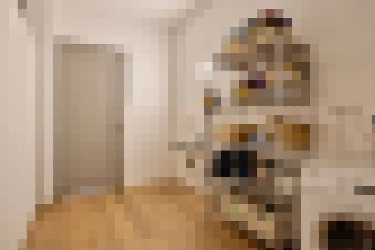 Jan de Vriesstraat 6 C Diessen thumbnail 36