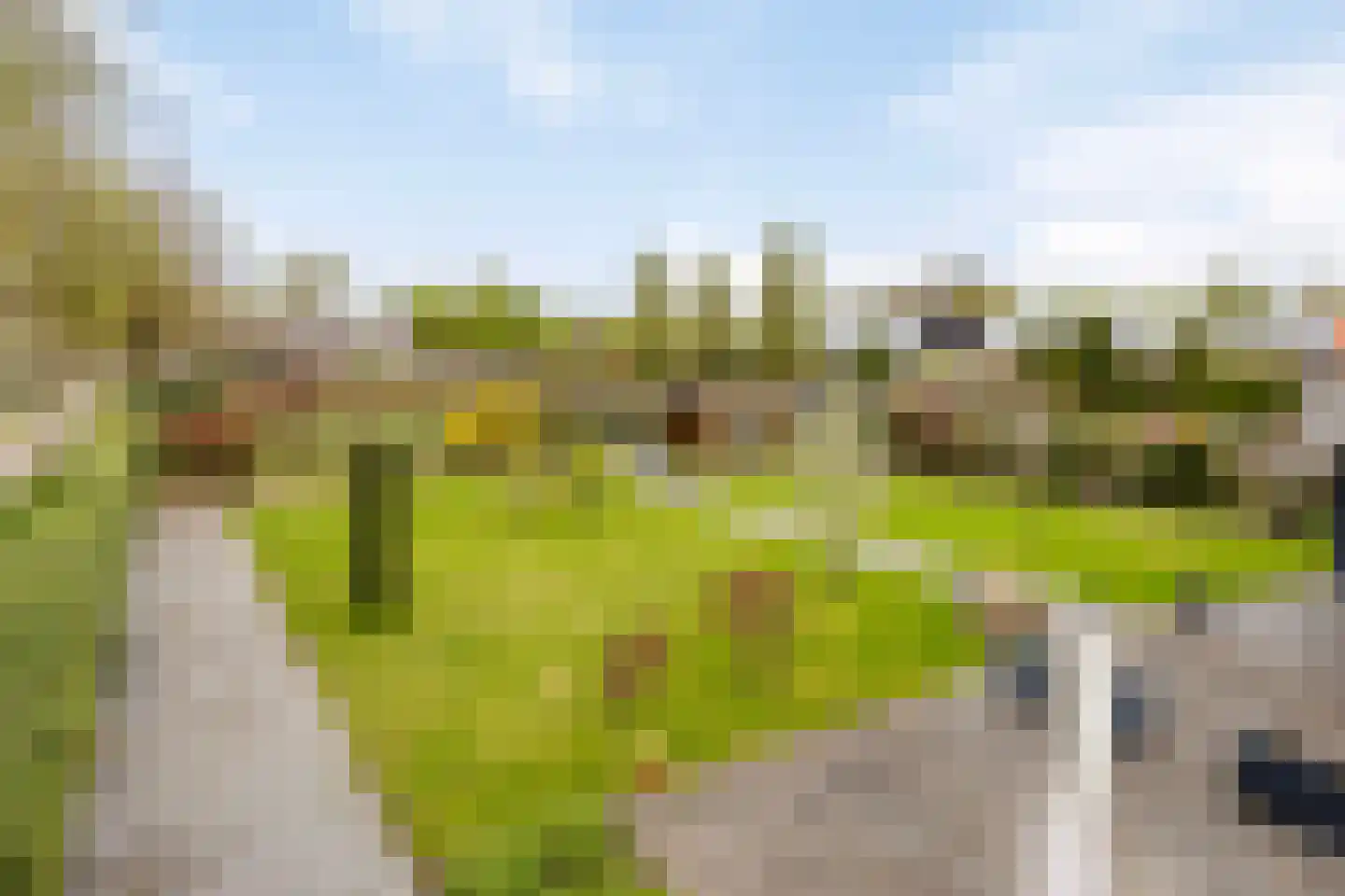 Jan de Vriesstraat 6 C Diessen thumbnail 40