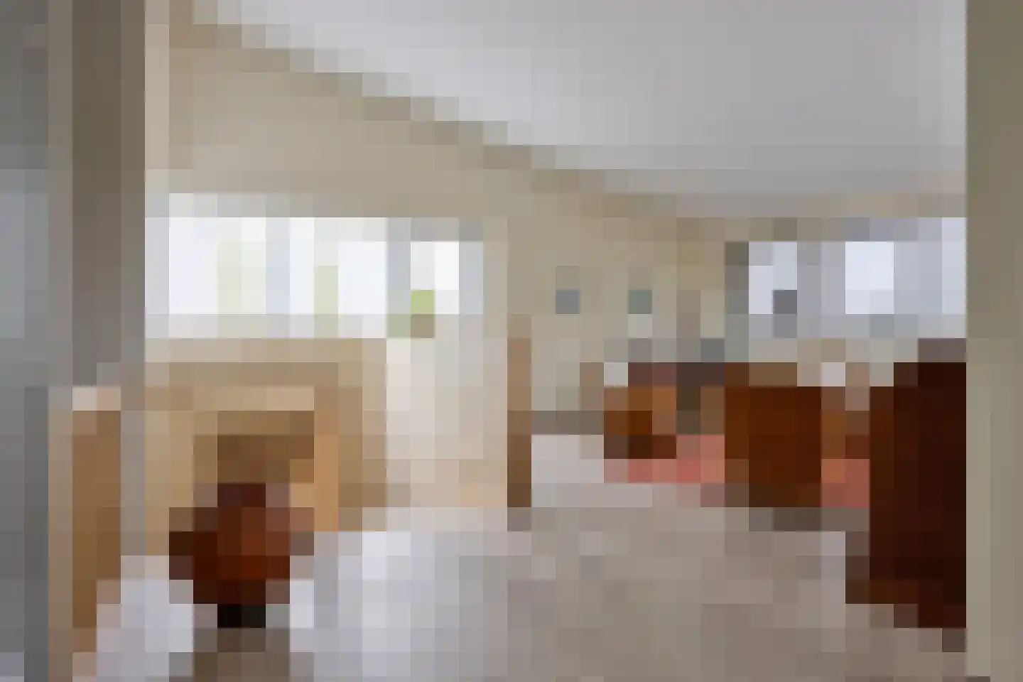 Jan de Vriesstraat 6 C Diessen thumbnail 48