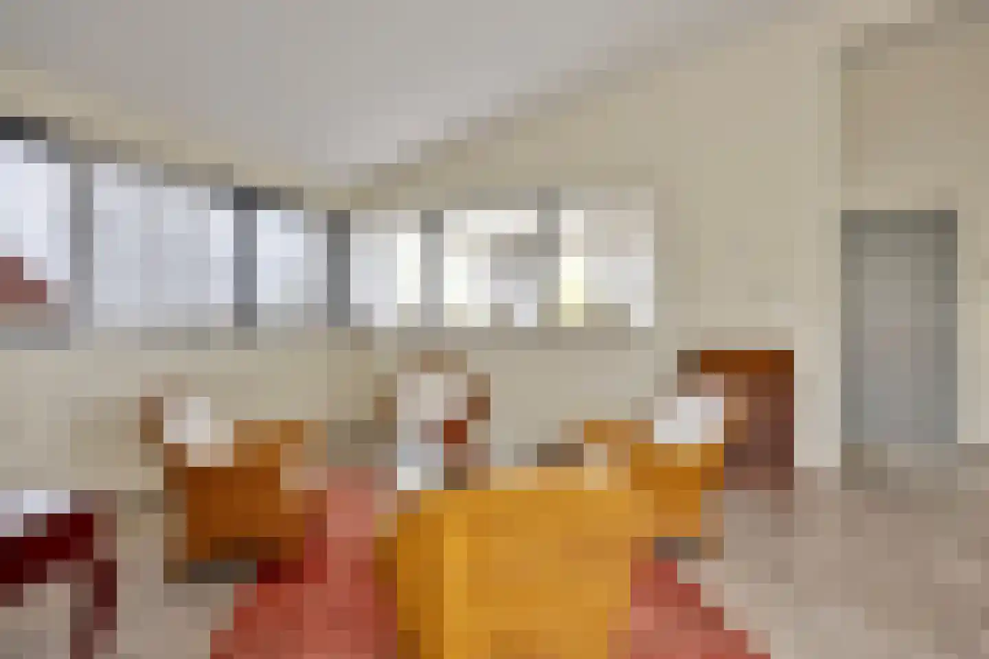 Jan de Vriesstraat 6 C Diessen thumbnail 49
