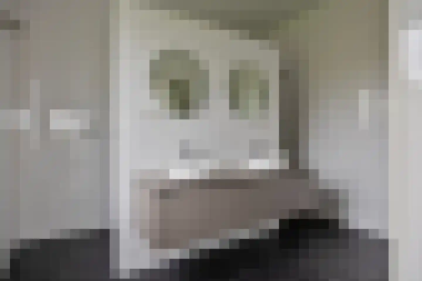 Jan de Vriesstraat 6 C Diessen thumbnail 5