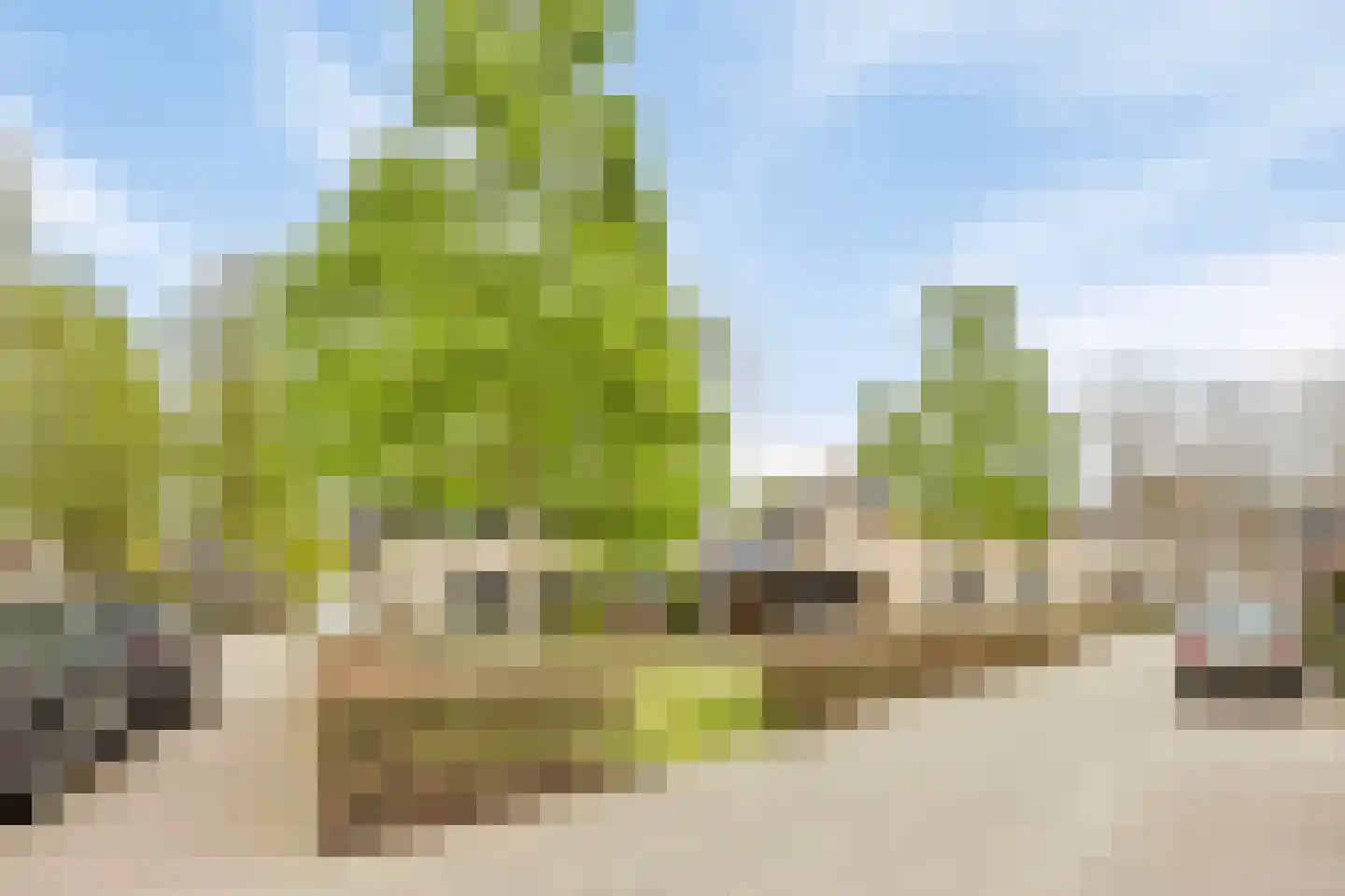 Jan de Vriesstraat 6 C Diessen thumbnail 62