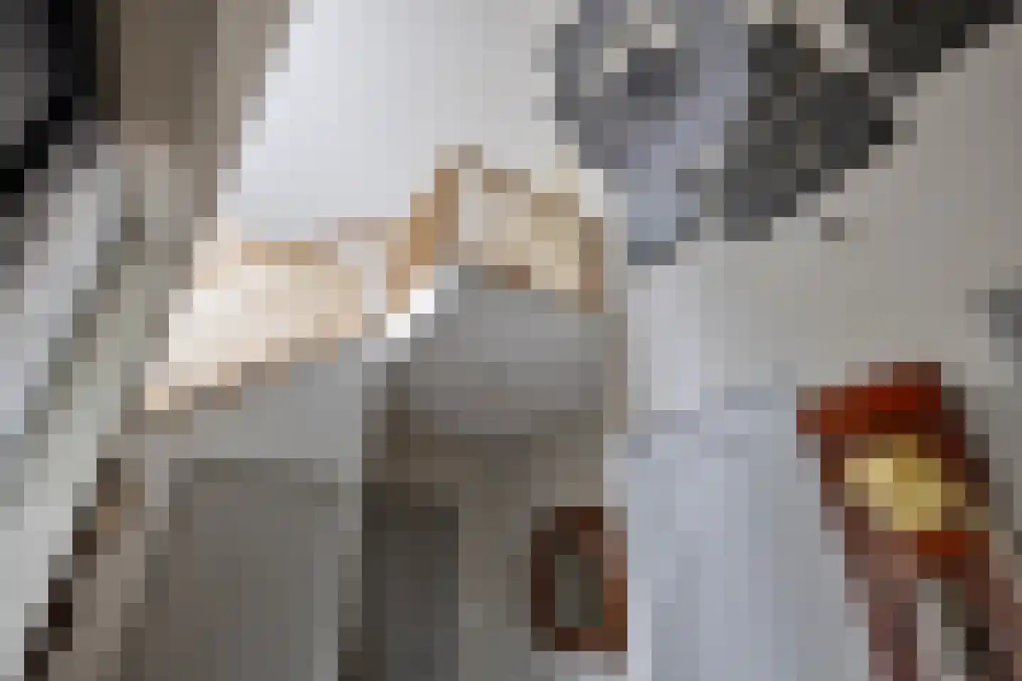 Jan de Vriesstraat 6 C Diessen thumbnail 9