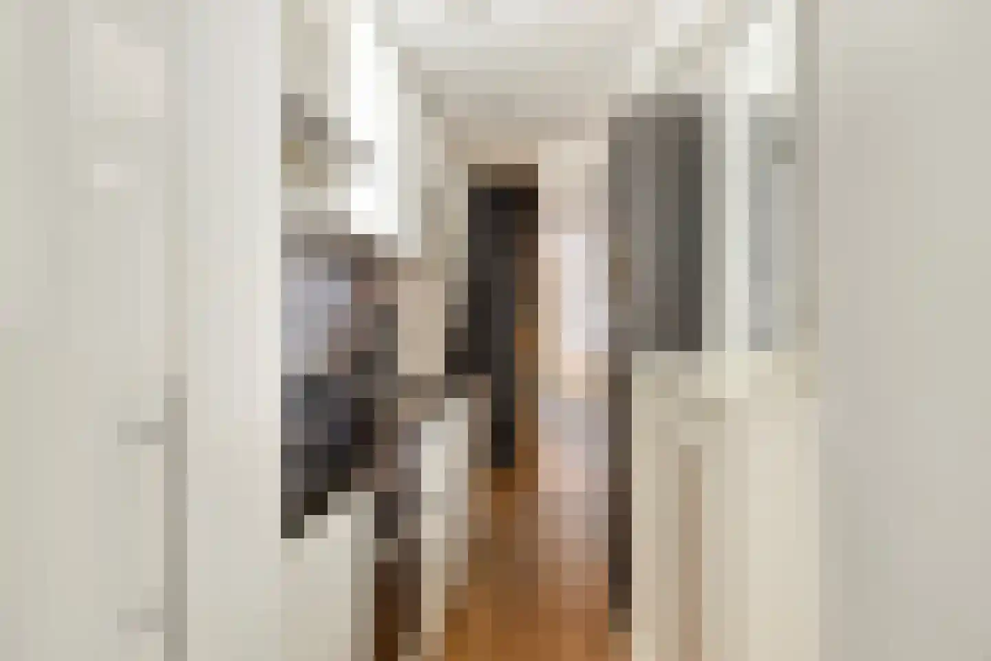 Jan de Weertstraat 38 Den Haag thumbnail 9