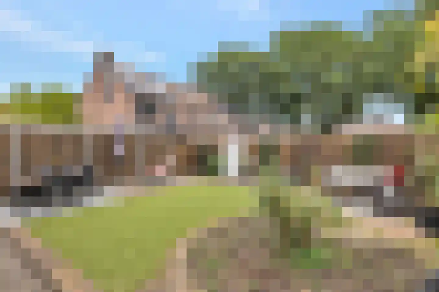 Jan de Withof 120 Helmond thumbnail 6