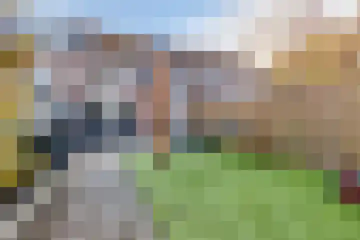 Jan de Withof 66 Helmond thumbnail 27
