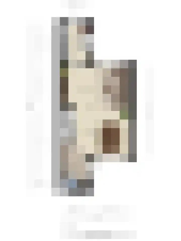 Jan de Withof 66 Helmond thumbnail 30