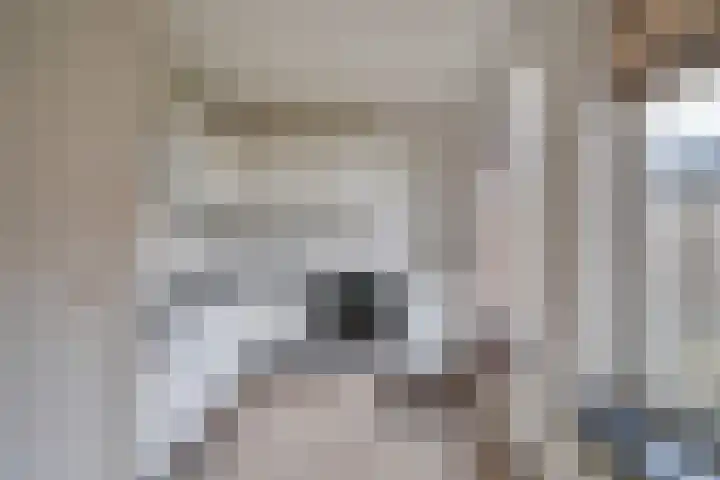 Jan de Withof 9 Helmond thumbnail 10