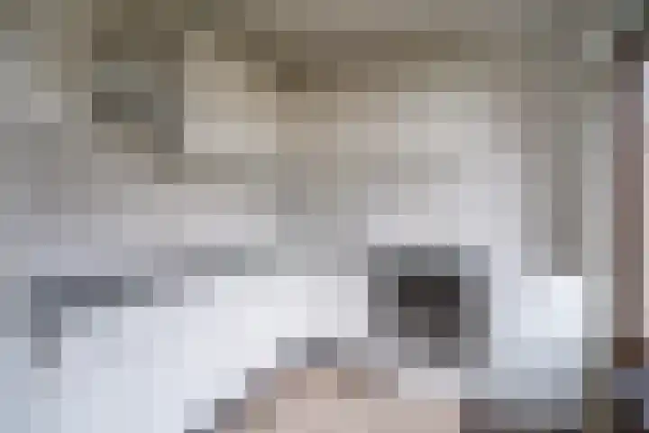 Jan de Withof 9 Helmond thumbnail 11