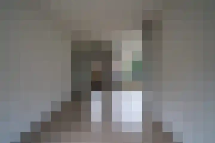 Jan de Withof 9 Helmond thumbnail 12