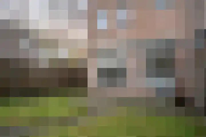 Jan de Withof 9 Helmond thumbnail 14