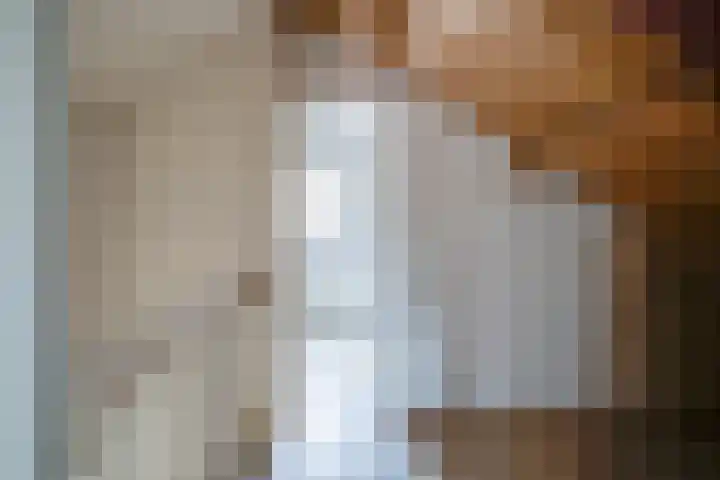Jan de Withof 9 Helmond thumbnail 27
