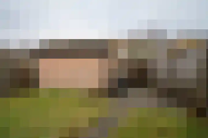 Jan de Withof 9 Helmond thumbnail 30