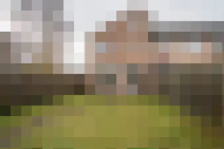 Jan de Withof 9 Helmond thumbnail 31