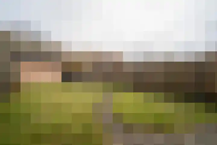 Jan de Withof 9 Helmond thumbnail 32