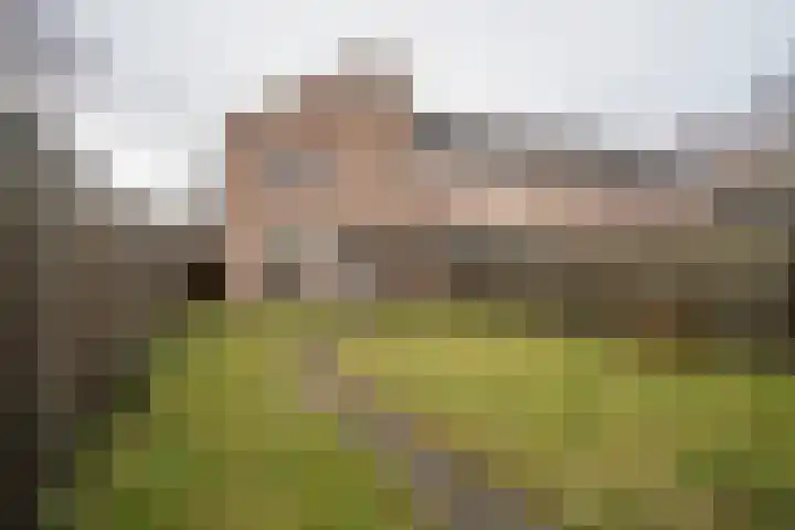 Jan de Withof 9 Helmond thumbnail 33