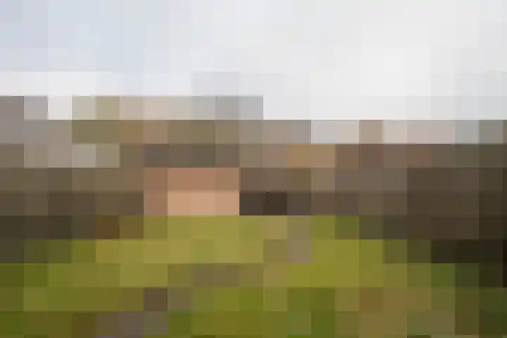 Jan de Withof 9 Helmond thumbnail 34