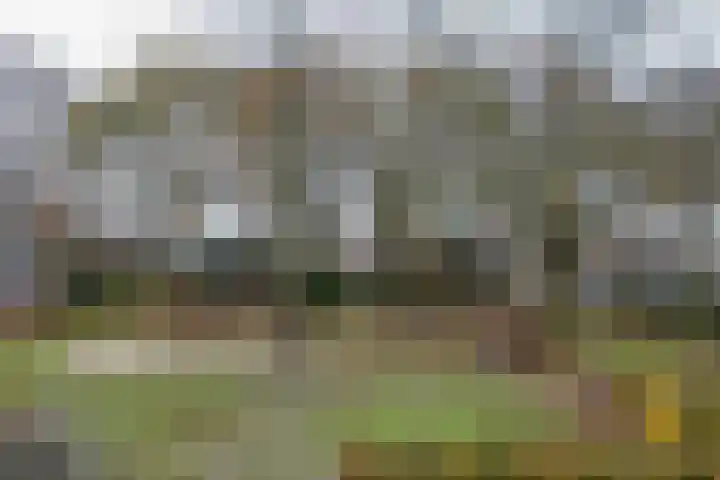 Jan de Withof 9 Helmond thumbnail 35